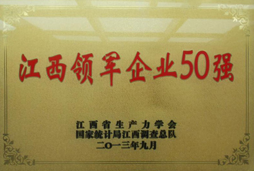 2013江西領軍企業(yè)50強