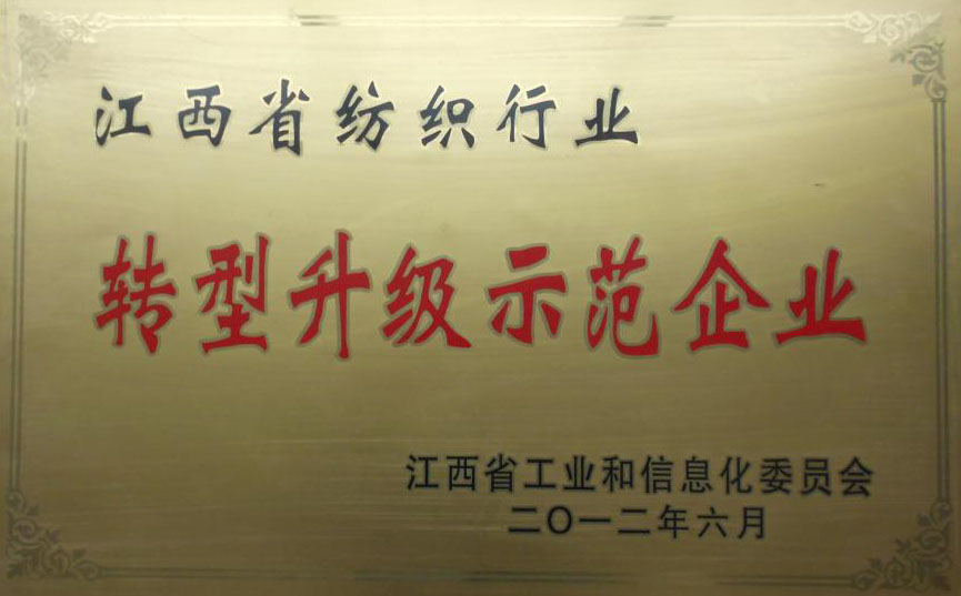 2012轉(zhuǎn)型升級(jí)示范企業(yè)