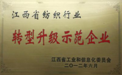 2012轉(zhuǎn)型升級示范企業(yè)